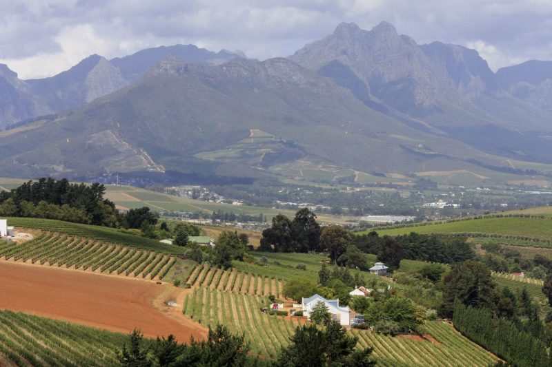 Blick von oben über Weinberge und ein weites Tal bis zu hohen Bergen