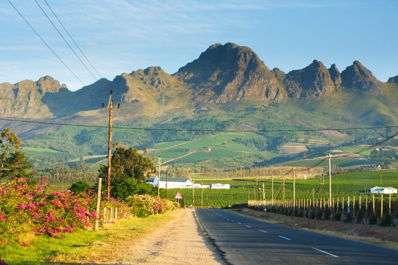 Leere Landstraße durch Weinberge, dahinter ein Bergmassiv