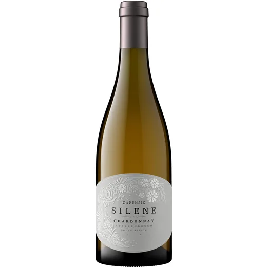 Flasche: Capensis Silene Chardonnay 2023