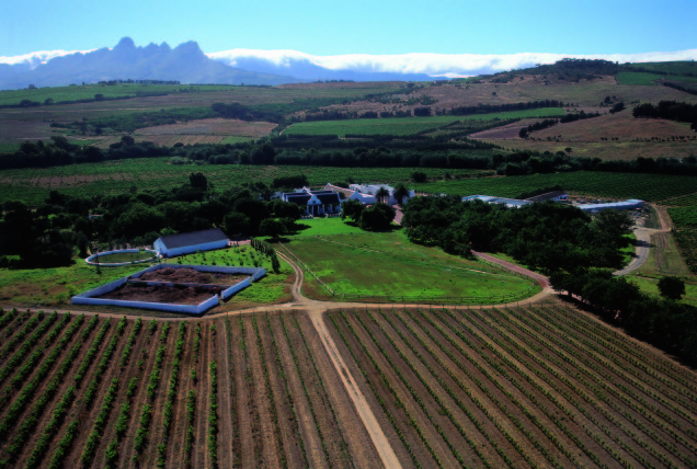 Blick aus der Luft auf das Weingut Meerlust